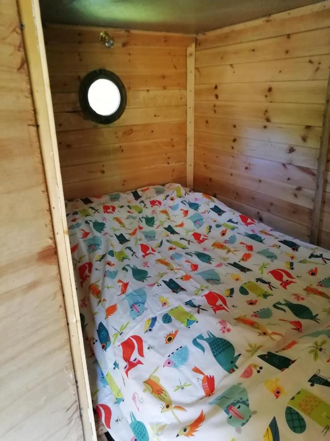 Truck & Pod Creative Nature Retreat. Bantry Exterior foto